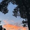 joseyanne2115